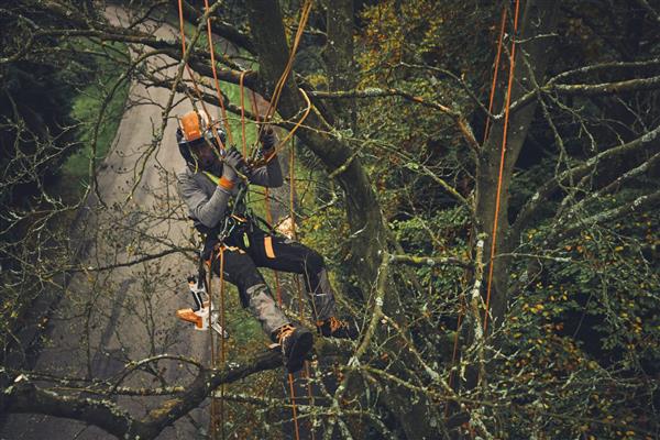 STIHL GTA 40 Cordless prune Set - Image 5