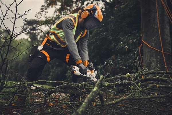 STIHL GTA 40 Cordless prune Set - Image 6